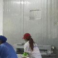 Industrial Blast Tunnel Freezer For IQF Shrimp Fish